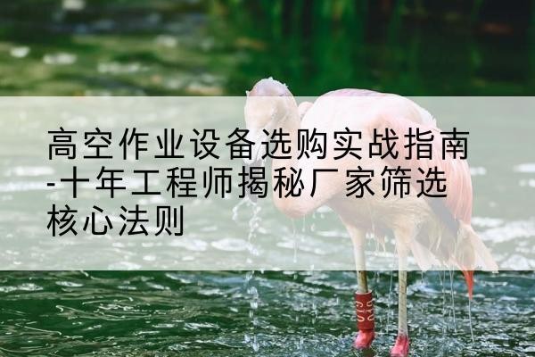 丰满剪叉式升降机厂家-高空作业设备选购实战指南-十年工程师揭秘厂家筛选核心法则