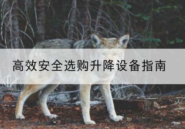 丰满升降货梯厂家推荐-*安全选购升降设备指南