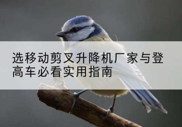 丰满电动升降机厂家-选移动剪叉升降机厂家与登高车必看实用指南