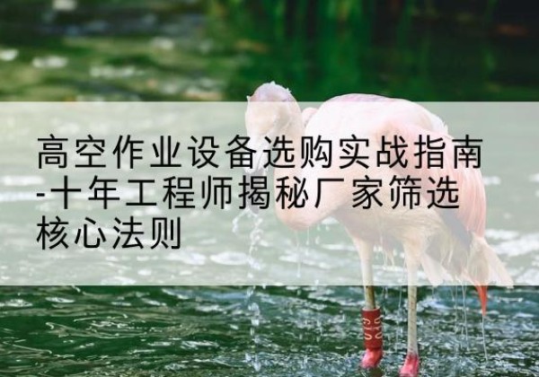 丰满剪叉式升降机厂家-高空作业设备选购实战指南-十年工程师揭秘厂家筛选核心法则